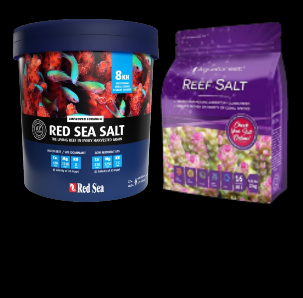 Salt