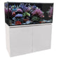 Aqua One ReefSys Aquariums
