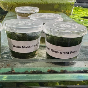 Moss Tub - Taiwan Moss - 30ml