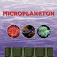 Frozen Food - Ocean Nutrition - 100gm