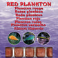 Frozen Food - Ocean Nutrition - 100gm