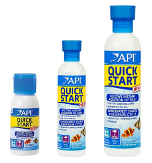 API Quick Start
