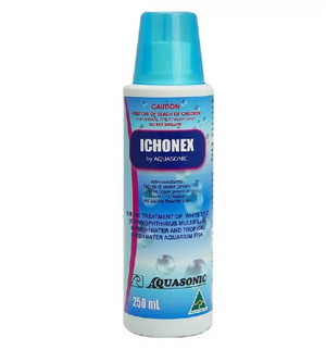 Aquasonic Ichonex