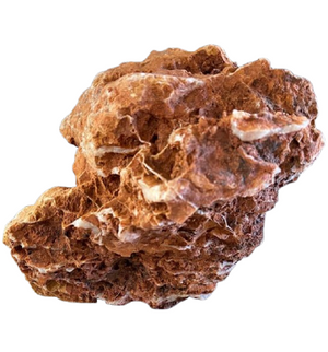 Chicken Bone Rock (Per Kg)