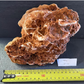 Chicken Bone Rock (Per Kg)