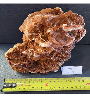 Chicken Bone Rock (Per Kg)