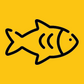 Bursa Triggerfish