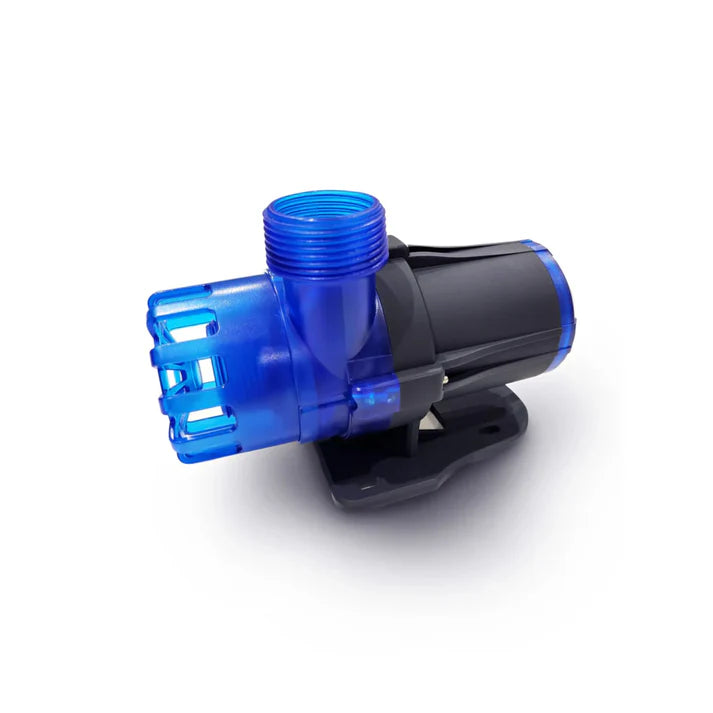 Great white return pump