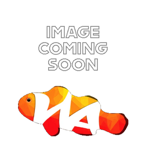 Aqua Illumination (AI) Blade Elevated Tank Mount