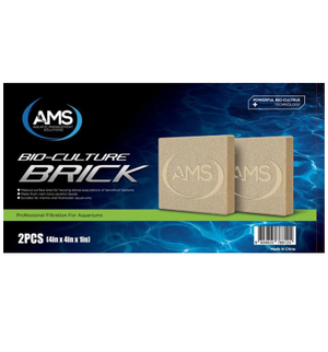 AMS Bio Culture Brick Twin Pack