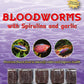 Frozen Food - Ocean Nutrition - 100gm