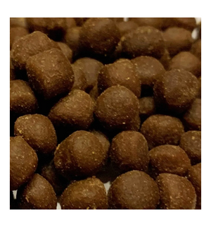 Coral Pellets (Ocean Nutrition) - 100G