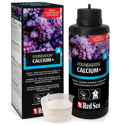 Red Sea Foundation A Calcium+