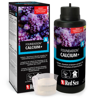 Red Sea Foundation A Calcium+