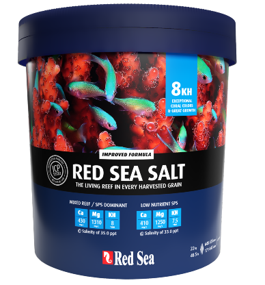 Red Sea Salt