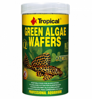 Tropical Green Algae Wafers