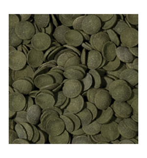 Tropical Green Algae Wafers