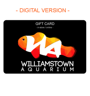 Gift Card (Digital)