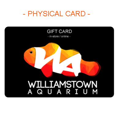 Gift Card (Physical Card)