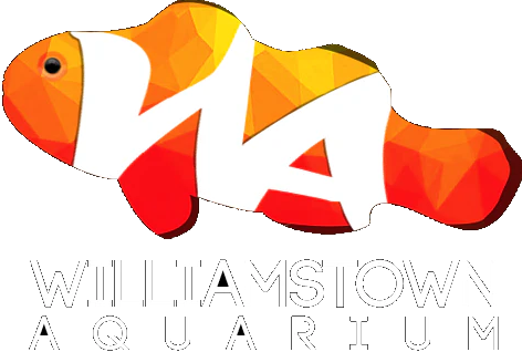 Williamstown Aquarium